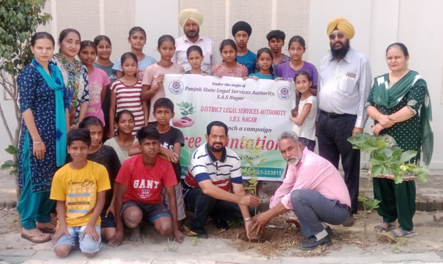 The District Legal Services Authority planted saplings at various places.